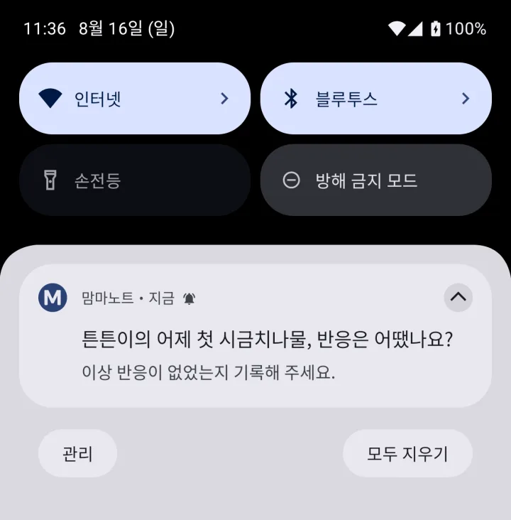 이유식 알레르기 반응 체크 알림. 어제 처음 먹어본 시금치나물의 반응을 기록해 달라는 푸시 알림이 표시되어 있다.